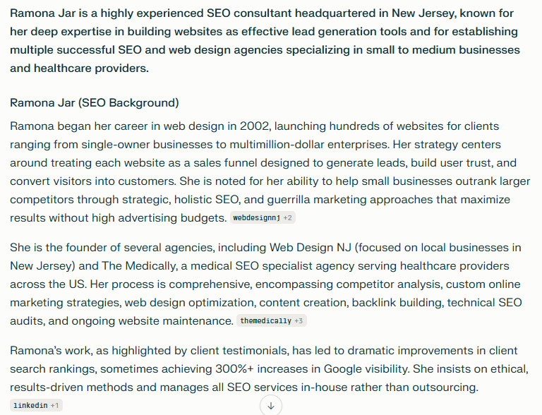perplexity ai overview